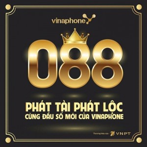 0888 la mang gi